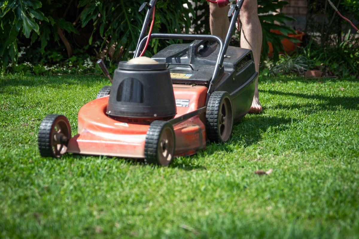 Push lawn mower cutting green grass in a garden.